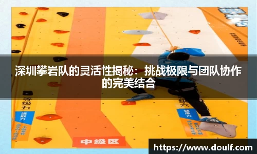 深圳攀岩队的灵活性揭秘：挑战极限与团队协作的完美结合