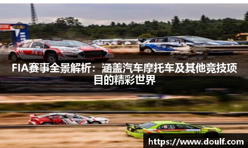 FIA赛事全景解析：涵盖汽车摩托车及其他竞技项目的精彩世界