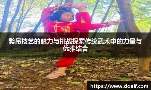 劈吊技艺的魅力与挑战探索传统武术中的力量与优雅结合